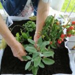 IMG_20260522_105017
