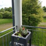 IMG_20260522_105858